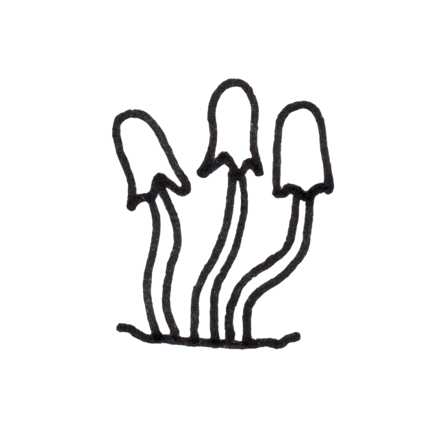 Line art icon of three slender, tall wild mushrooms growing together by MyyaTales.