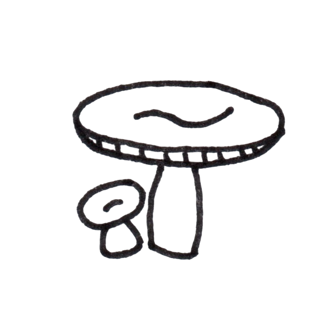 Line art icon of a single flat-top wild mushroom by MyyaTales.