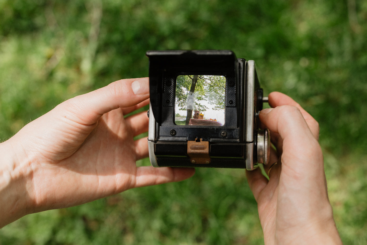 Hands holding an antique camera viewfinder reflecting the green forest, illustrating Step 3 The Proof of Awakening photo submission for MyyaTales.