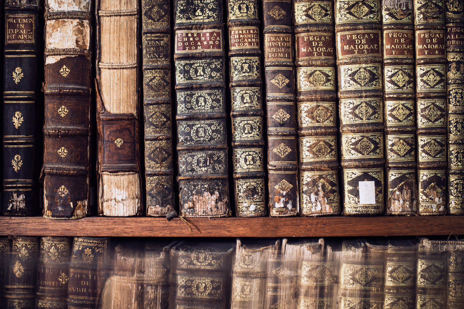 Rows of antique leather books on a dark library shelf, illustrating Step 5 The Reward of the Realm free pattern choice for MyyaTales.
